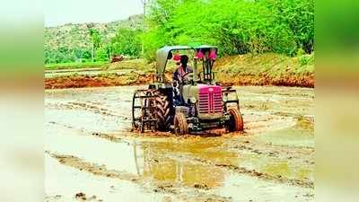 ಗರಿಗೆದರಿದ ಕೃಷಿ ಚಟುವಟಿಕೆಗಳು !