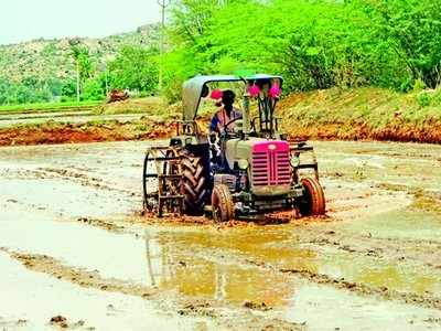 ಗರಿಗೆದರಿದ ಕೃಷಿ ಚಟುವಟಿಕೆಗಳು !