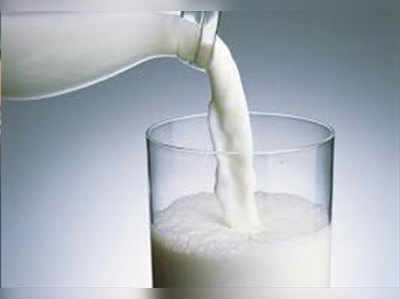 टैंकर के दूध में यूरिया मिलाने के आरोपी को कोर्ट ने नहीं दी राहत