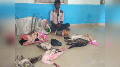 गुजरात: नलसरोवर में पक्षियों के शिकार के लिए पतंग यूज़ कर रहे शिकारी