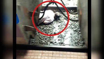 ठाणे स्टेशन पर वक्त पर नहीं मिली मदद, 40 मिनट तड़पकर मर गया ट्रेन के नीचे आया यात्री