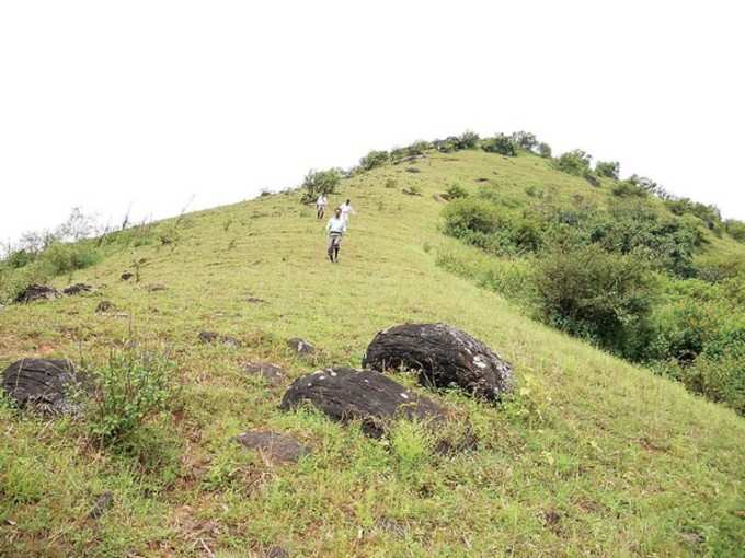 ಭತ್ತದ ರಾಶಿ ಬೆಟ್ಟ, ಸಿಂಗನಳ್ಳಿ ಗ್ರಾಮ