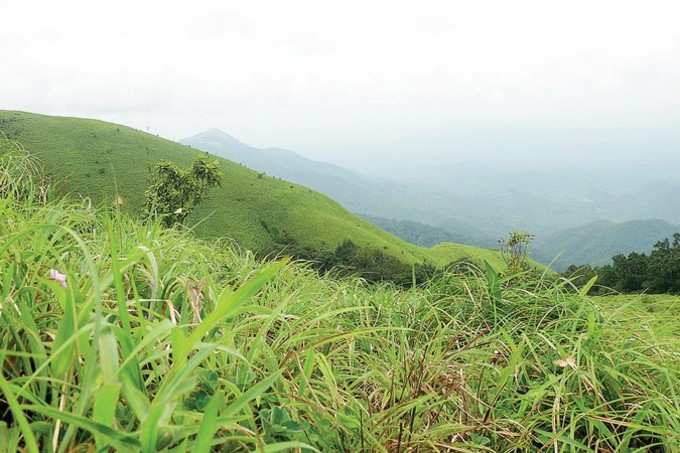 ಮಾಂದಲಪಟ್ಟಿ ಶಿಖರದ ಸೊಬಗು