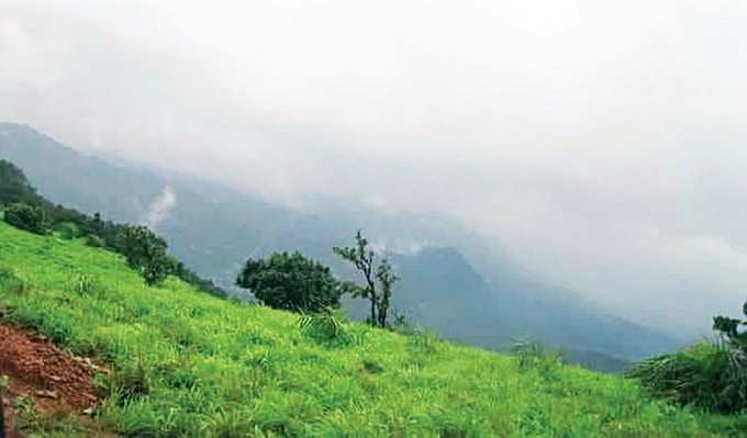  ಕೈ ಬೀಸಿ ಕರೆಯುತ್ತಿದೆ ಕೊಡಚಾದ್ರಿ