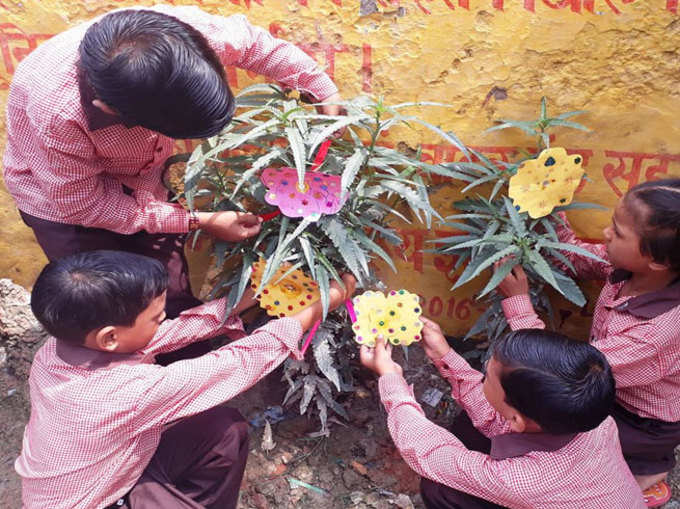 पर्यावरण को बचाने के ल‍िए पेड़ों को बांधी जा रही राखी