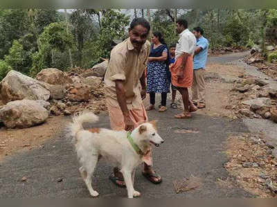 Kerala Rains :கேரளா வெள்ள நிலச்சரிவிலிருந்து எஜமானனின் குடும்பத்தை காப்பாற்றிய செல்ல நாய்