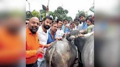 ಕೋಣನ ಮುಂದೆ ಕಿನ್ನರಿ ಬಾರಿಸಲು ಹೋಗಿ ಗುಮ್ಮಿಸಿಕೊಂಡ ಕಾಂಗ್ರೆಸ್ಸಿಗರು