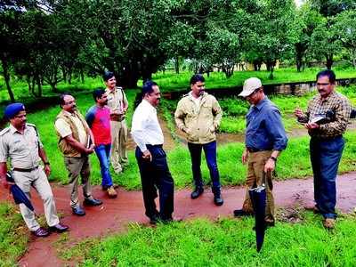 ಭೂತರಾಮನಟ್ಟಿಯಲ್ಲಿ ಟೈಗರ್‌ ಸಫಾರಿ