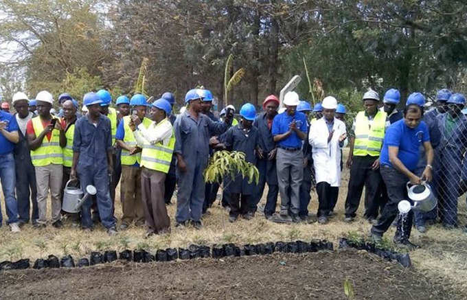 केन्‍या में कर्मचारियों के साथ पेड़ लगाते रावल