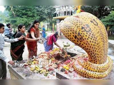 Nag Panchami 2018: ಹಬ್ಬಗಳ ಸಡಗರ ಹೊತ್ತು ಬಂತು ನಾಗರ ಪಂಚಮಿ