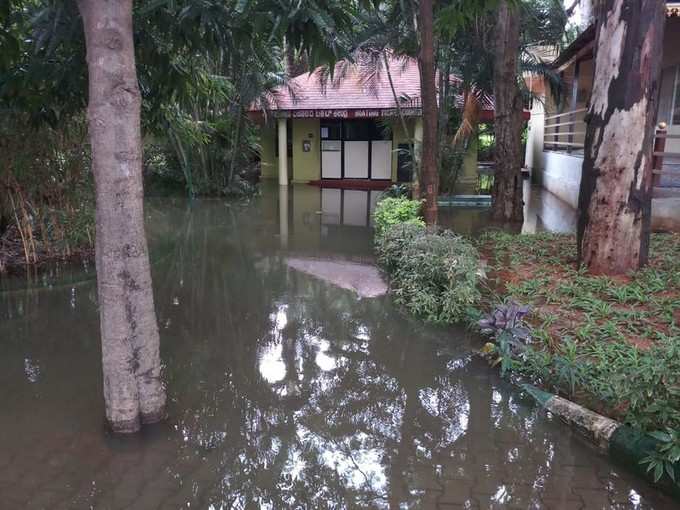 ರಂಗನತಿಟ್ಟು ಪಕ್ಷಿಧಾಮ ಮುಳುಗಡೆ