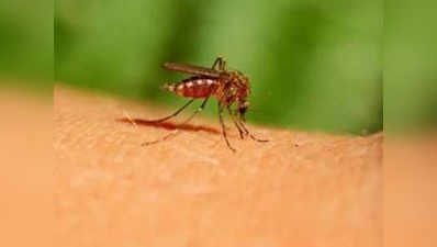 दिल्ली में मलेरिया के 128 और डेंगू के 64 मामले दर्ज किए गए