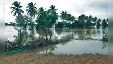 ಜಮೀನುಗಳಿಗೆ ನುಗ್ಗಿದ ತುಂಗಭದ್ರೆ ನೀರು