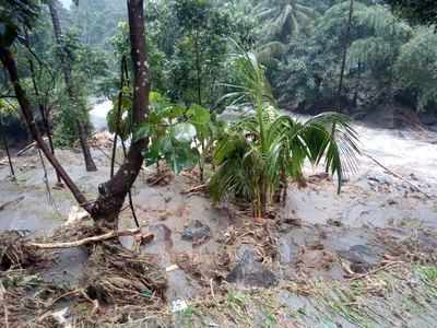 കുറ്റ്യാടി ചുരം വഴി വലിയ വാഹനങ്ങളുടെ ഗതാഗതം നിരോധിച്ചു