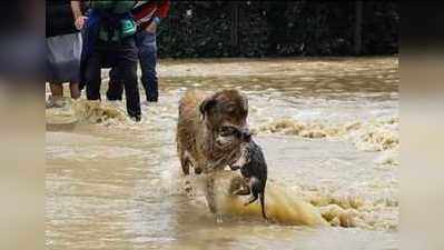 Kerala Flood: வெள்ளத்தால் பாதிக்கப்பட்ட மக்களுக்கு நயன்தாரா ரூ.10 லட்சம் நிதியுதவி!