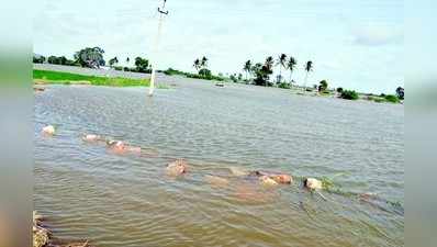 ಉಕ್ಕಿಹರಿದ ನದಿ : ಗ್ರಾಮಗಳ ಸಂಚಾರ ಬಂದ್‌