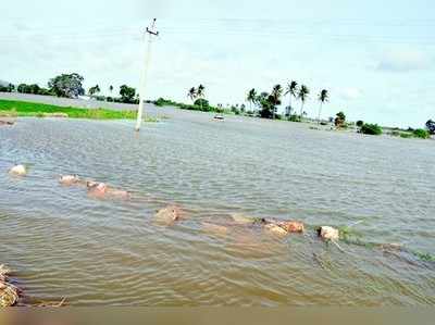 ಉಕ್ಕಿಹರಿದ ನದಿ : ಗ್ರಾಮಗಳ ಸಂಚಾರ ಬಂದ್‌