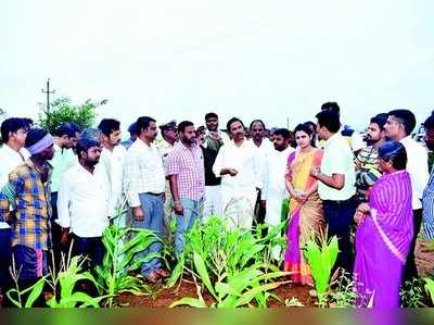 ಬೆಳೆಹಾನಿ ಪ್ರದೇಶಕ್ಕೆ ಕೃಷಿ ಸಚಿವ ಭೇಟಿ