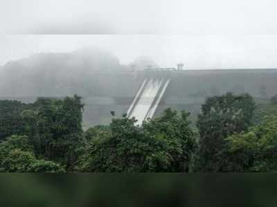 Idukki Dam:  ഇടുക്കി ഡാമിൽ ജലനിരപ്പ് താഴ്ന്നു; ജലനിരപ്പ് 2401.5 അടി