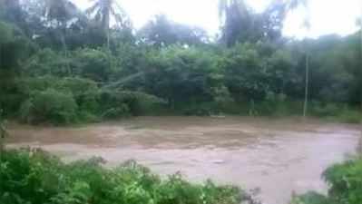 കനത്ത മഴയിൽ അഗസ്ത്യവനത്തിലെ ആദിവാസികൾ ഒറ്റപ്പെട്ടു