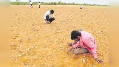 விளை நிலங்களில் வைர கற்களை தேடி படையெடுக்கும் விவசாயிகள்