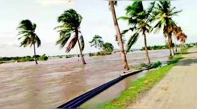 ನದಿ ಪಾತ್ರದ ಜಮೀನು ಜಾಲಾವೃತ: ಒಣಗಿದ ಖುಷ್ಕಿ ಪ್ರದೇಶ