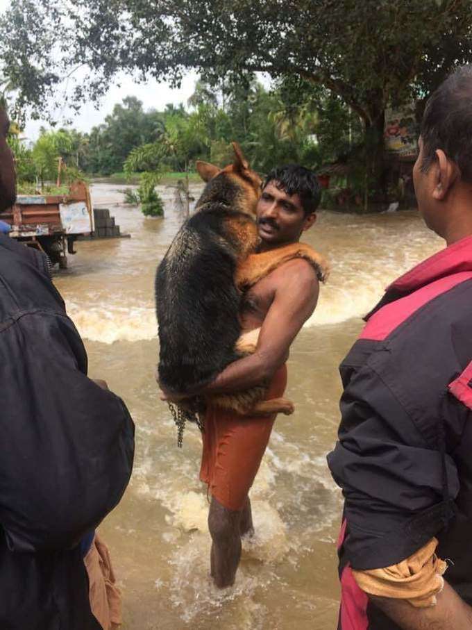 தேசிய பேரிடர் மீட்புக் குழு