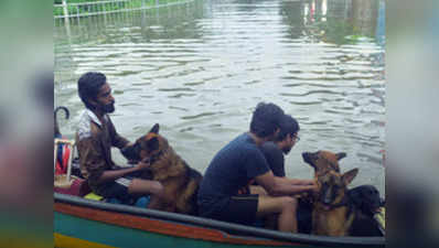 केरल: बाढ़ के बीच 25 कुत्तों को छोड़कर जाने से महिला ने किया इनकार