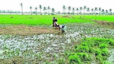 ಪ್ರವಾಹಕ್ಕೆ ಸಿಲುಕಿದ ಪಂಪ್‌ಸೆಟ್‌ ದುರಸ್ತಿಗೆ ಮುಂದಾದ ರೈತ