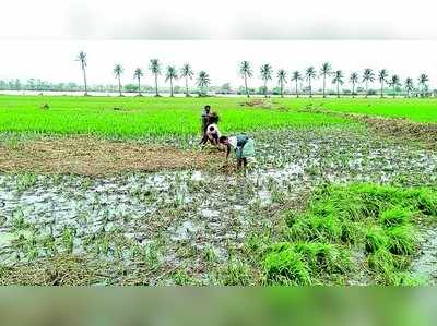 ಪ್ರವಾಹಕ್ಕೆ ಸಿಲುಕಿದ ಪಂಪ್‌ಸೆಟ್‌ ದುರಸ್ತಿಗೆ ಮುಂದಾದ ರೈತ