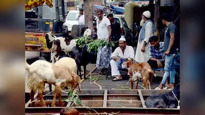 Bakra Eid: सुलतान, सलमानपेक्षा टायगरला भाव!