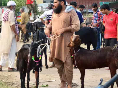 Bakra Eid 2018: बकऱ्याऐवजी कुत्रा सोपवला!