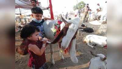 Bakrid 2018: బక్రీద్ పండుగ.. దైవం కోసం త్యాగం