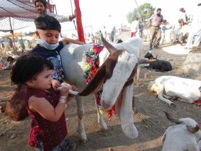 Bakrid 2018: బక్రీద్ పండుగ.. దైవం కోసం త్యాగం