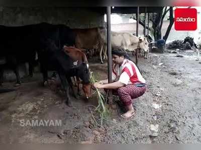 హిందువుల భావాలపై గౌరవంతోనే గో రక్షా దళ్: అలీ బిన్ అబ్దుల్లా