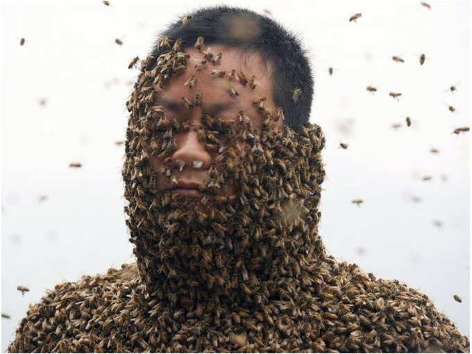 मधुमक्खियों के लिए शरीर को बनाया घर