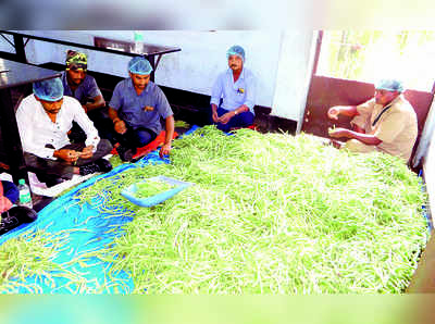 ಕೊಡಗು ಸಂತ್ರಸ್ತರ ನೆರವಿಗೆ ಇಸ್ಕಾನ್‌ ಅಕ್ಷಯಪಾತ್ರೆ