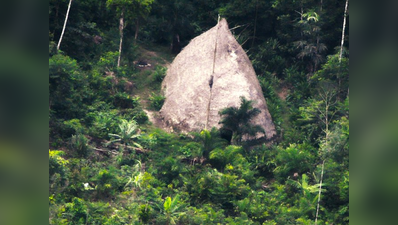 ब्राजील के जंगल में पहली बार दिखी अमेजन जनजाति