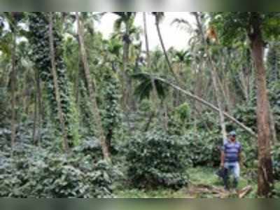 ತಲಗೋಡು ಬಳಿ ಭೂ ಕುಸಿತ : ಗ್ರಾಮಸ್ಥರ ಆತಂಕ