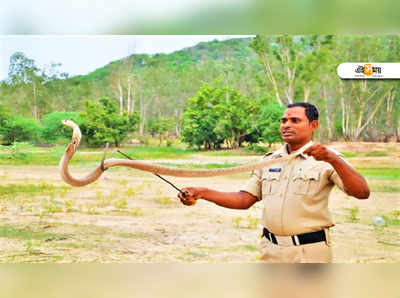 সাপ ধরে জঙ্গলে ছেড়ে আসাই শখ হোমগার্ডের