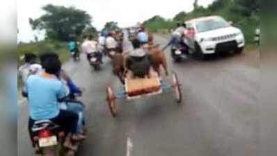 ಕುದುರೆ ಗಾಡಾ ಓಟಕ್ಕೆ ಹೆದ್ದಾರಿಯೇ ಗಡಗಡ!