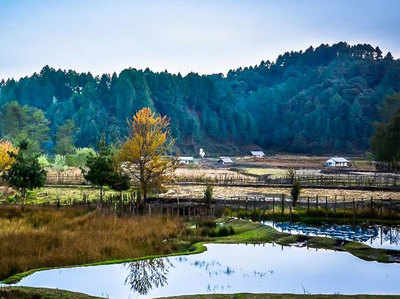 अरुणाचल प्रदेश की जीरो घाटी कराएगी रोमांच और शांति का अनुभव