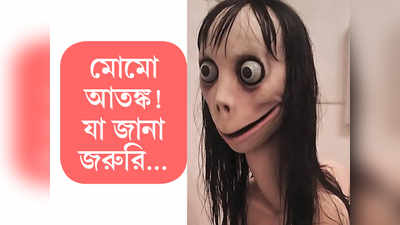 মোমো আতঙ্ক! যা জানা জরুরি...