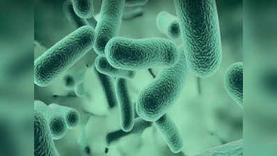 एंटीबायॉटिक नहीं, अब बैक्टीरिया को खाने वाले माइक्रोऑर्गैनिज्म करेंगे घातक बीमारियों का इलाज
