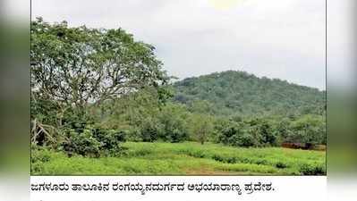 ಕಾಡು ಹೆಚ್ಚಳ, ಬಯಲು ದಾವಣಗೆರೆ ನಂ1