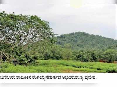 ಕಾಡು ಹೆಚ್ಚಳ, ಬಯಲು ದಾವಣಗೆರೆ ನಂ1