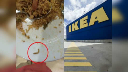 Ikea Hyderabad: బిర్యానీలో గొంగళి పురుగు.. ఐకియాలో కలకలం 