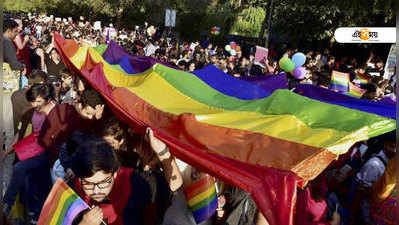 Section 377 Verdict: সমপ্রেম আর অপরাধ নয়, সুপ্রিম রায়ে শেষ মধ্যযুগের অন্ধকার