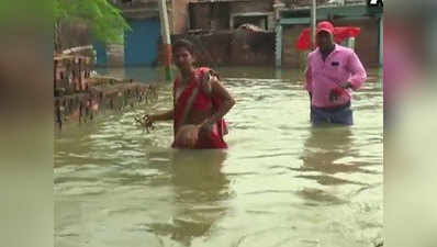 बाढ़: कानपुर डीएम की अपील, दान करें मच्छरदानियां