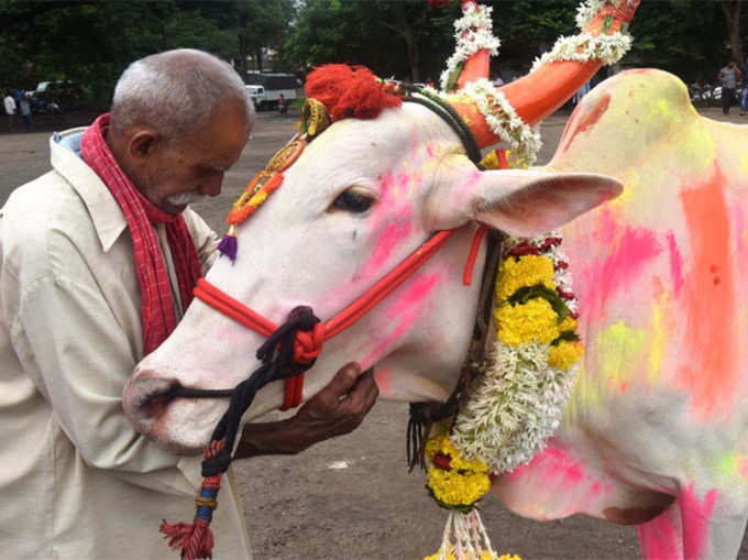 कृतज्ञता व्यक्त करणारा सण...